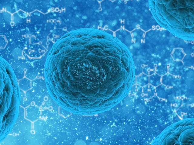 stem-cell-163711-640x480.jpg